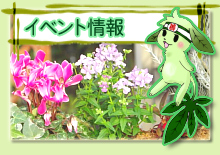 イベント情報