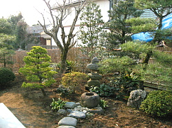 和風庭園