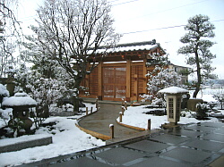 冬の庭